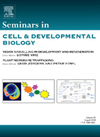 SEMINARS IN CELL & DEVELOPMENTAL BIOLOGY雜志封面